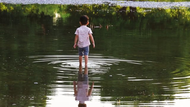 Kid, Boy, Pond. Free Stock Video - Pixabay