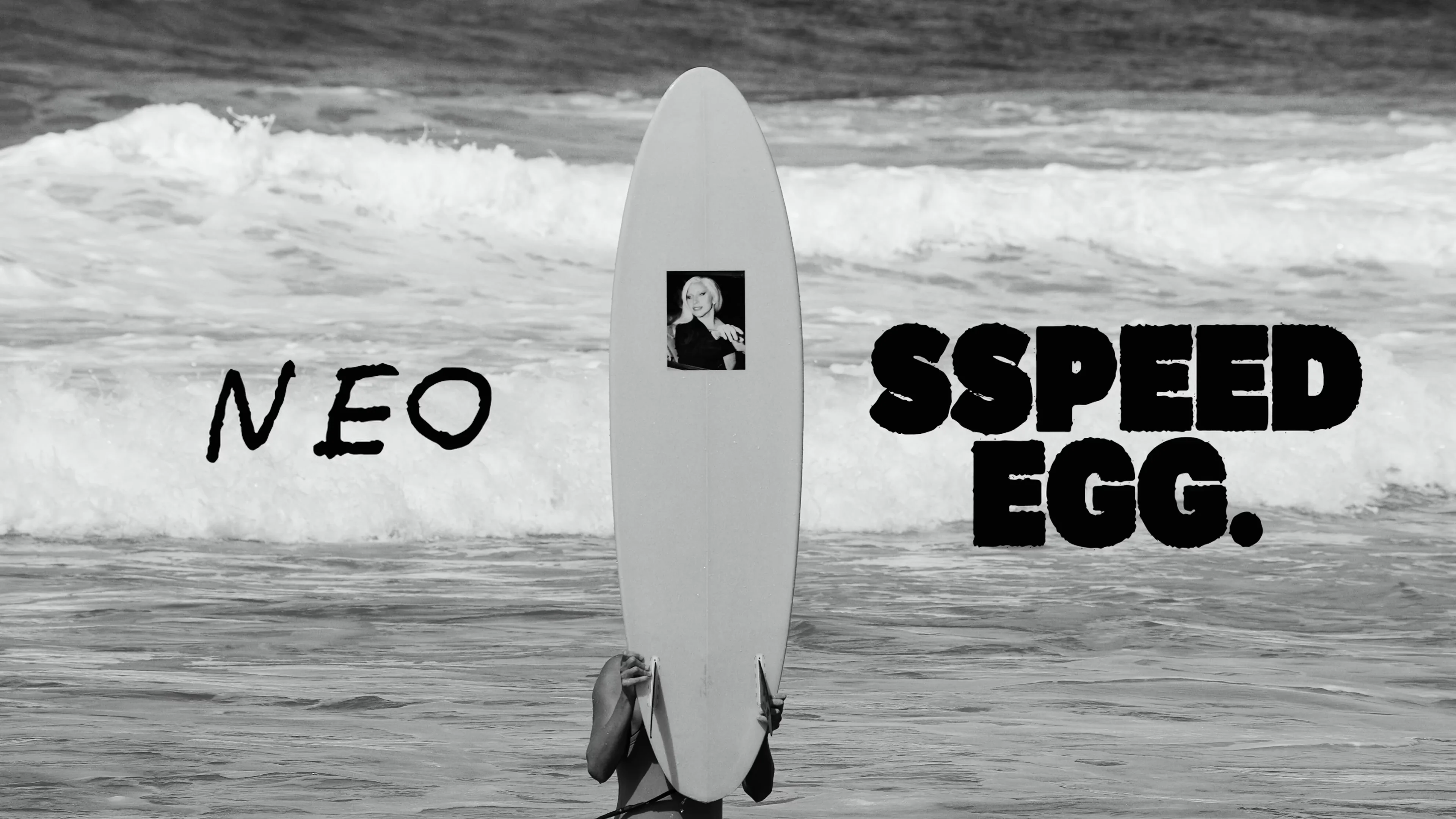 NEO) SPEED EGG | MISFIT SHAPES