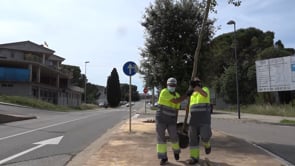 L'Escala s'adhereix a la campanya 'Un arbre per Europa'