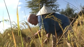 Related Embedded Video Item Thumbnail