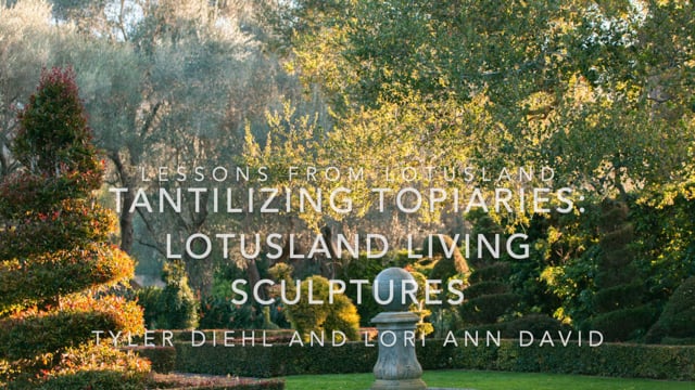 Lessons from Lotusland: Tantalizing Topiaries – Lotusland Living Sculptures
