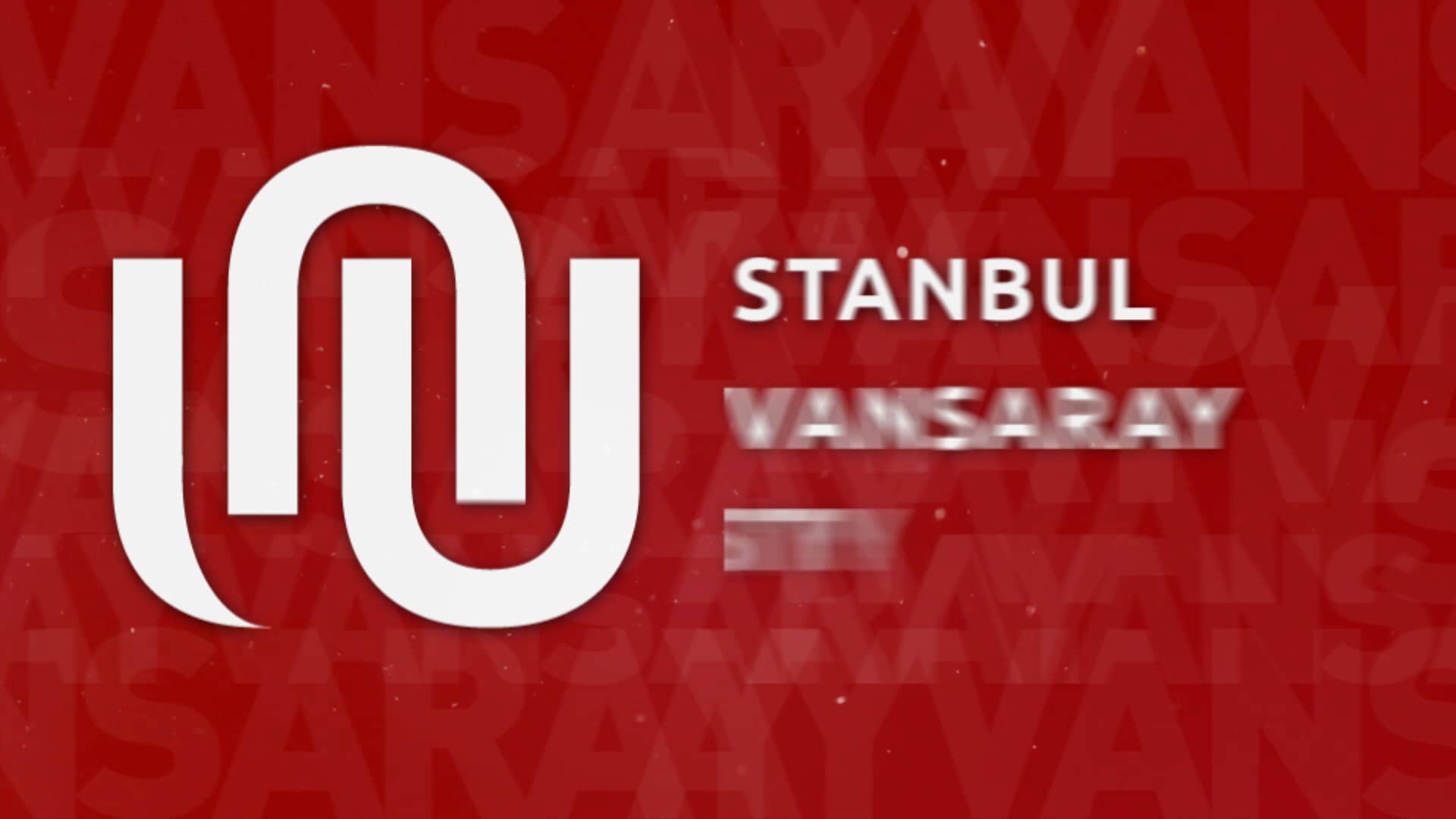 istanbul ayvansaray university international office name