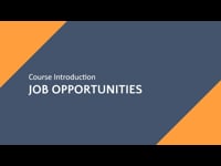 1.4 Web Developer Job Opportunities