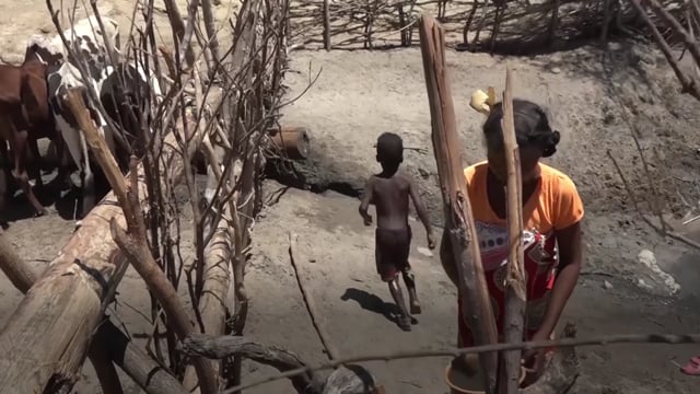 La vie en eaux troubles - Vidéo ePOP