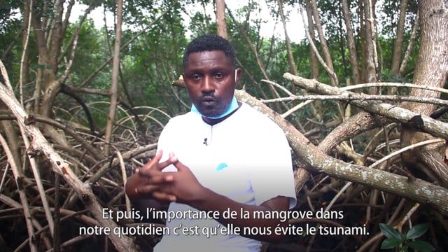 Au secours de la mangrove - Vidéo ePOP