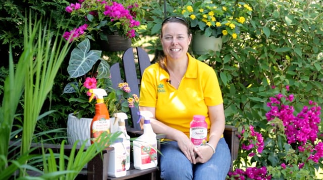Container Gardening with Tropical Plants