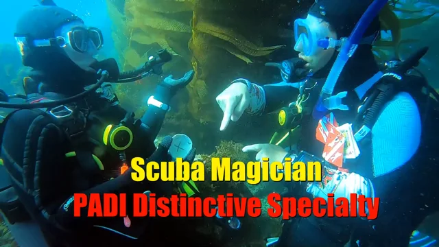 Retractable Reel – The Scuba Magician