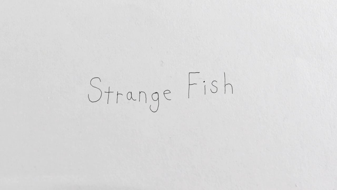 Screenshot of Strange Fish