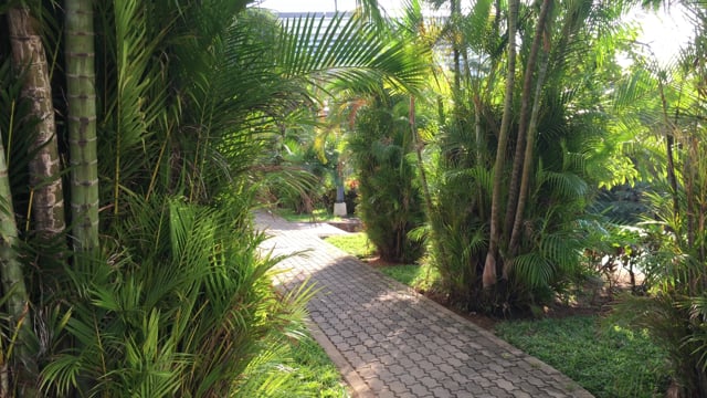 Natural Familia Verde Free video on Pixabay Pixabay