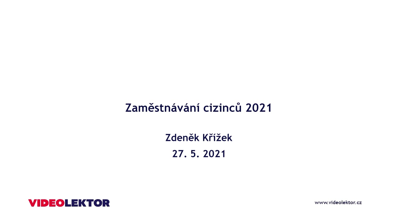Zaměstnávání cizinců 2021