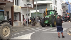 Multitudinària manifestació anti parc eòlic marí