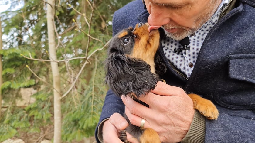 vimeo-video-thumbnail