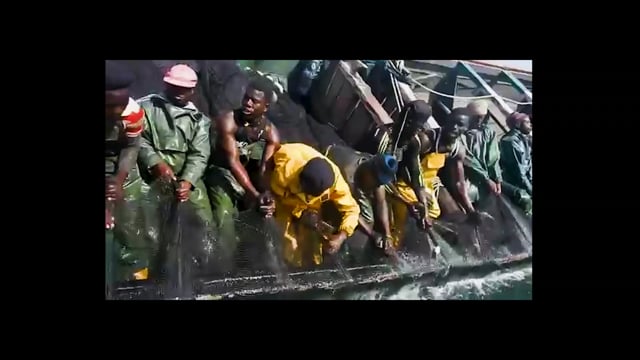 I canti del pescatore