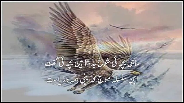 Sacrifice Meaning In Urdu, Niaz نیاز