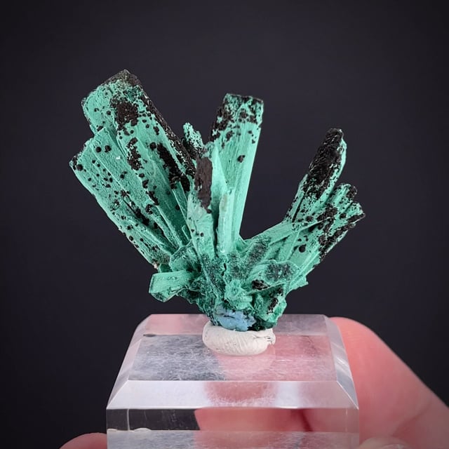 Chrysocolla ps. Gypsum