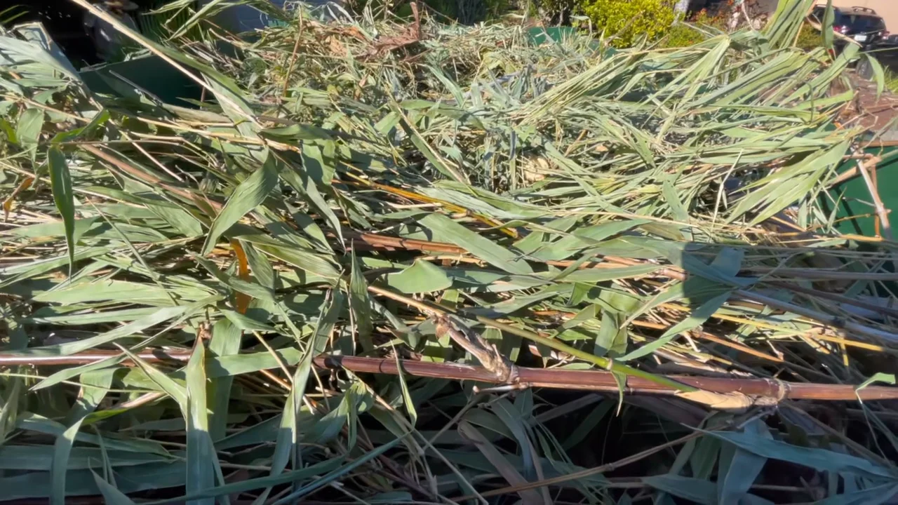 Maui Green Waste Hauling & Disposal on Vimeo