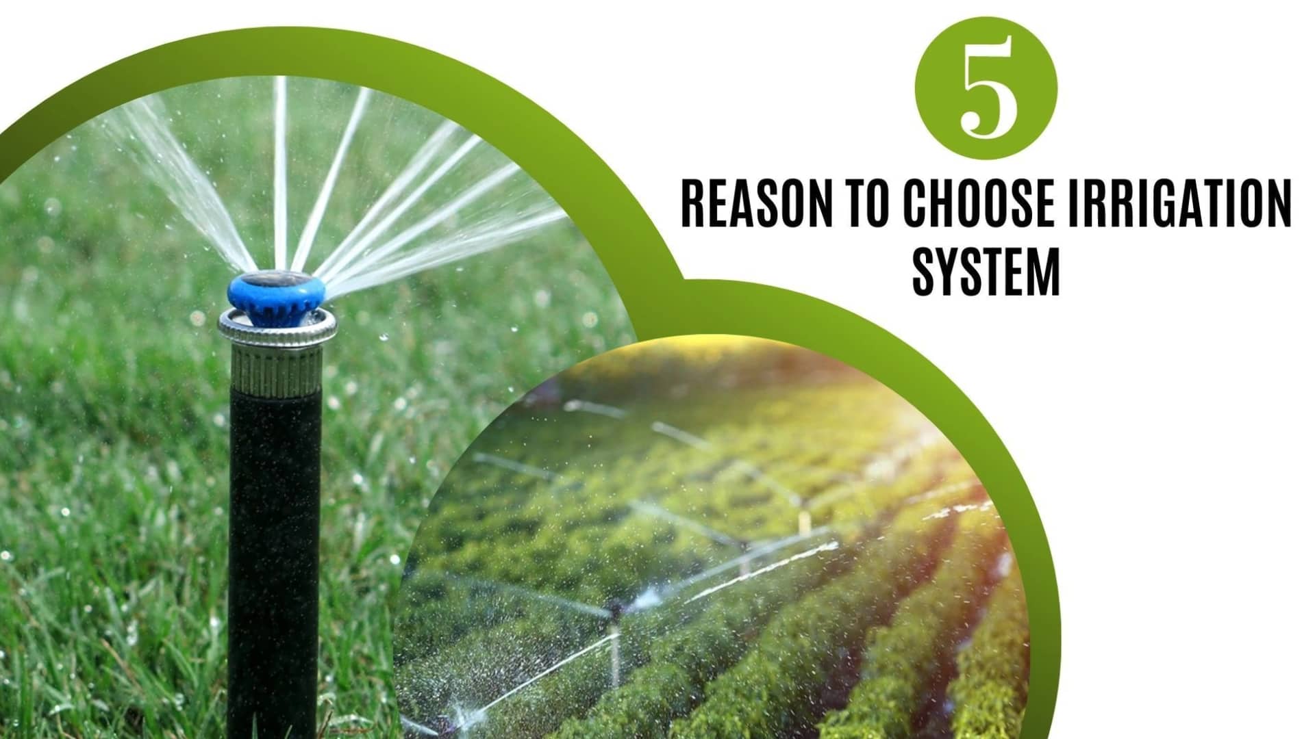 5 Reason to Choose Irrigation System on Vimeo