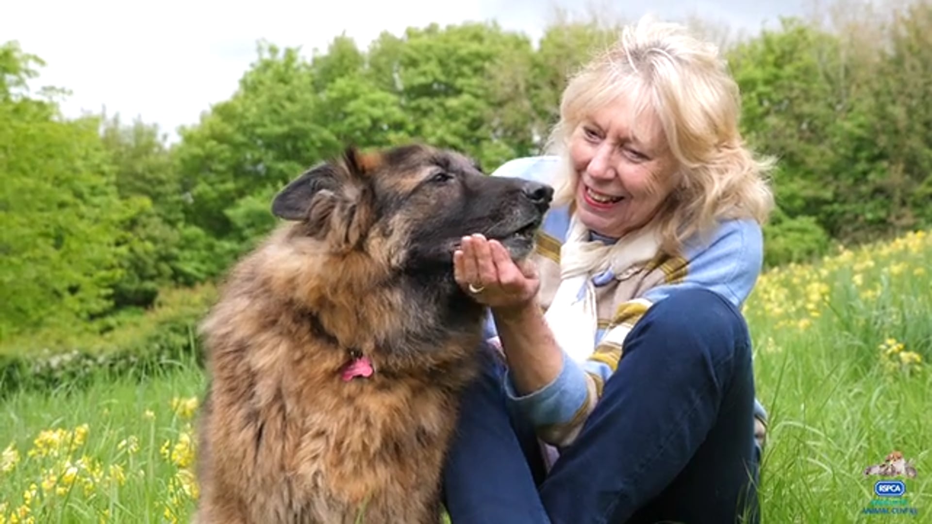 Bella's Forever Home.mp4