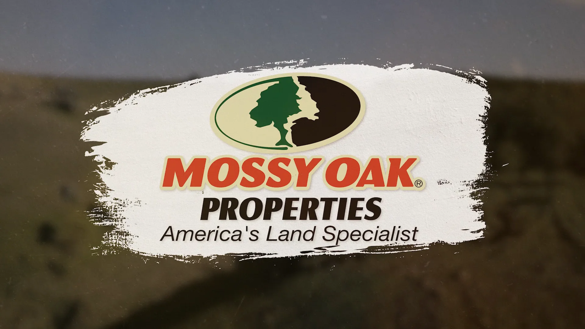 Mossy Oak Properties