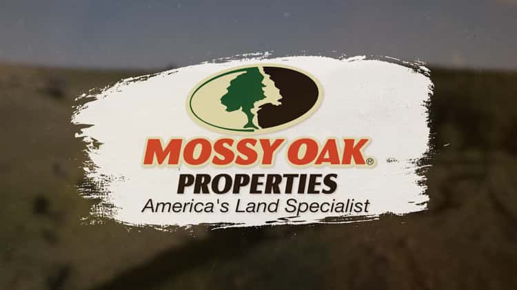 The Power of Mossy Oak Properties on Vimeo