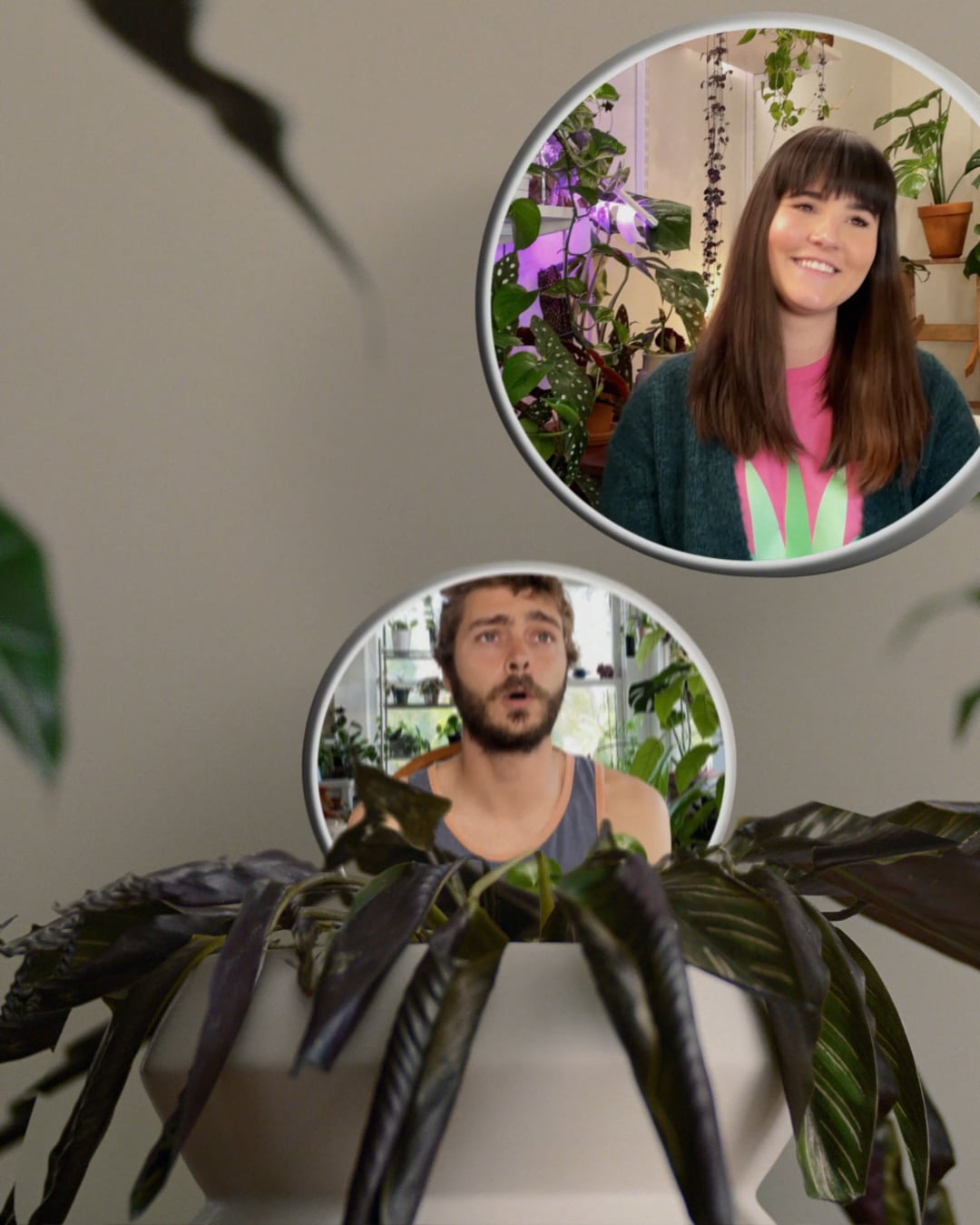 Greatness in the Making: House Plant Hobbyist