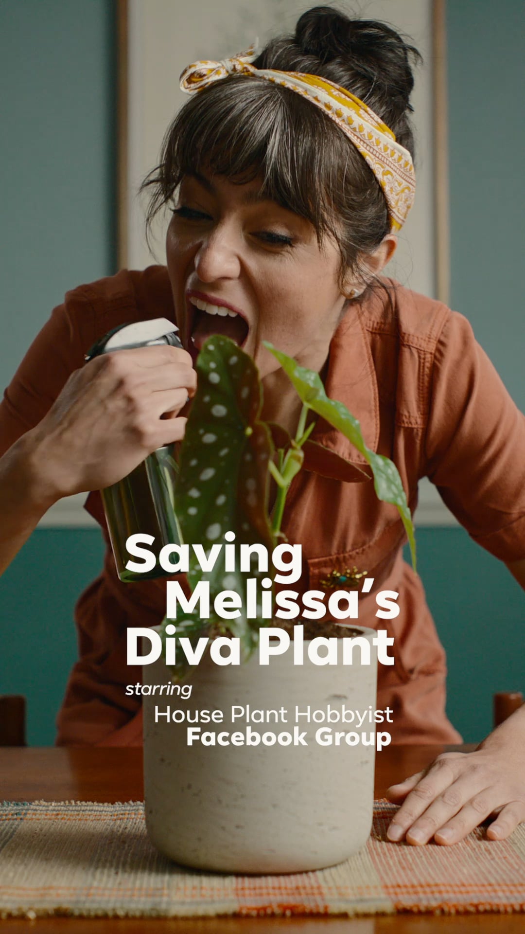 GITM House Plant Hobbyist Trailer