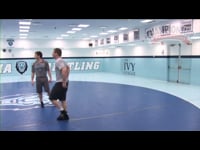 Preview Video #1