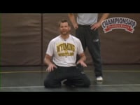 Preview Video #1