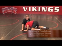 Preview Video #1