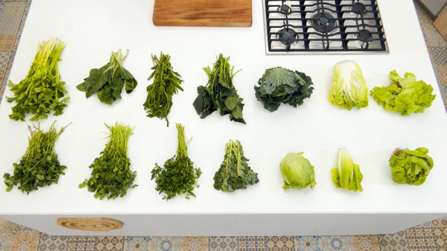 Hojas: variedades, características y usos