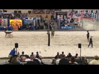 Preview Video #1