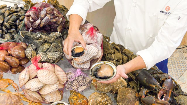 Introducción: clasificación y usos