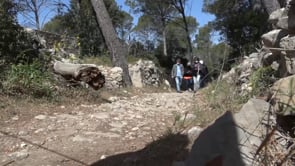 Més de 300 activitats aquest estiu
