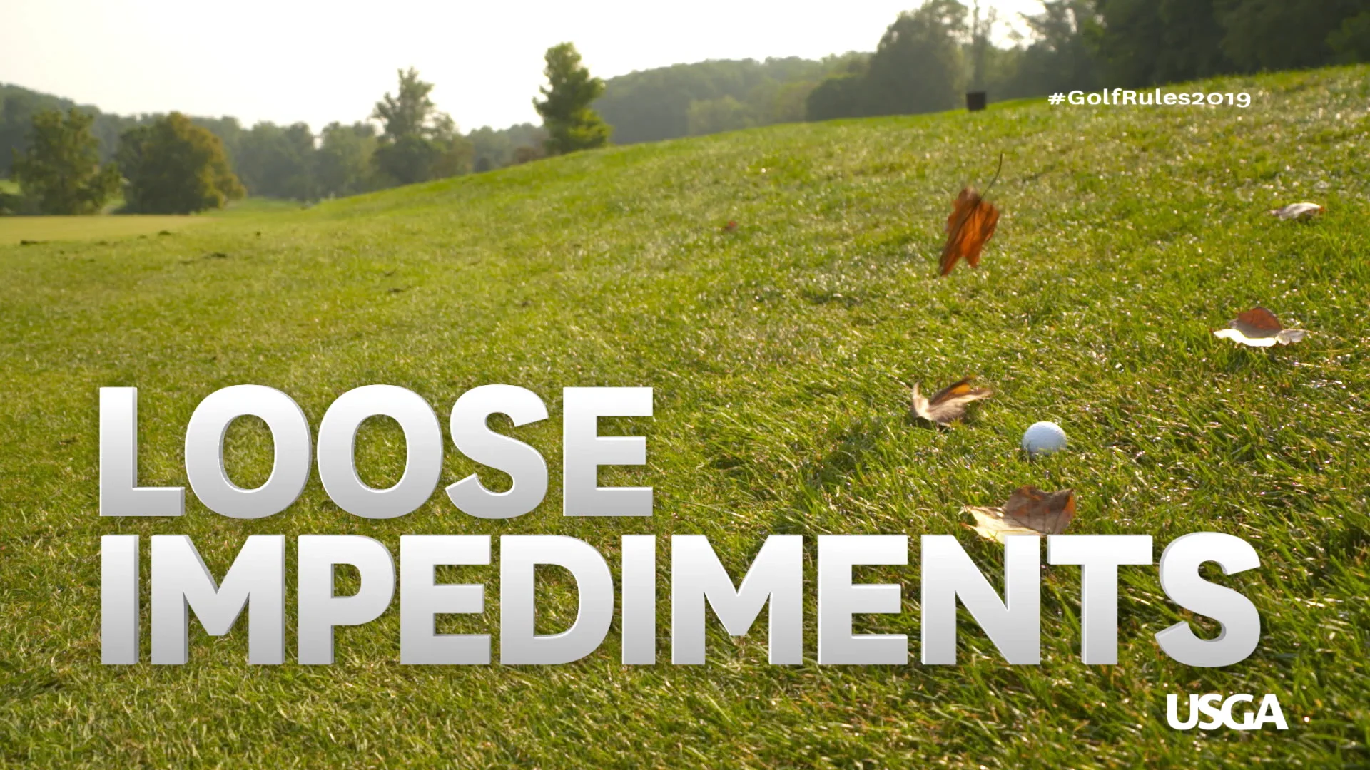 ROG Explained Loose Impediments on Vimeo