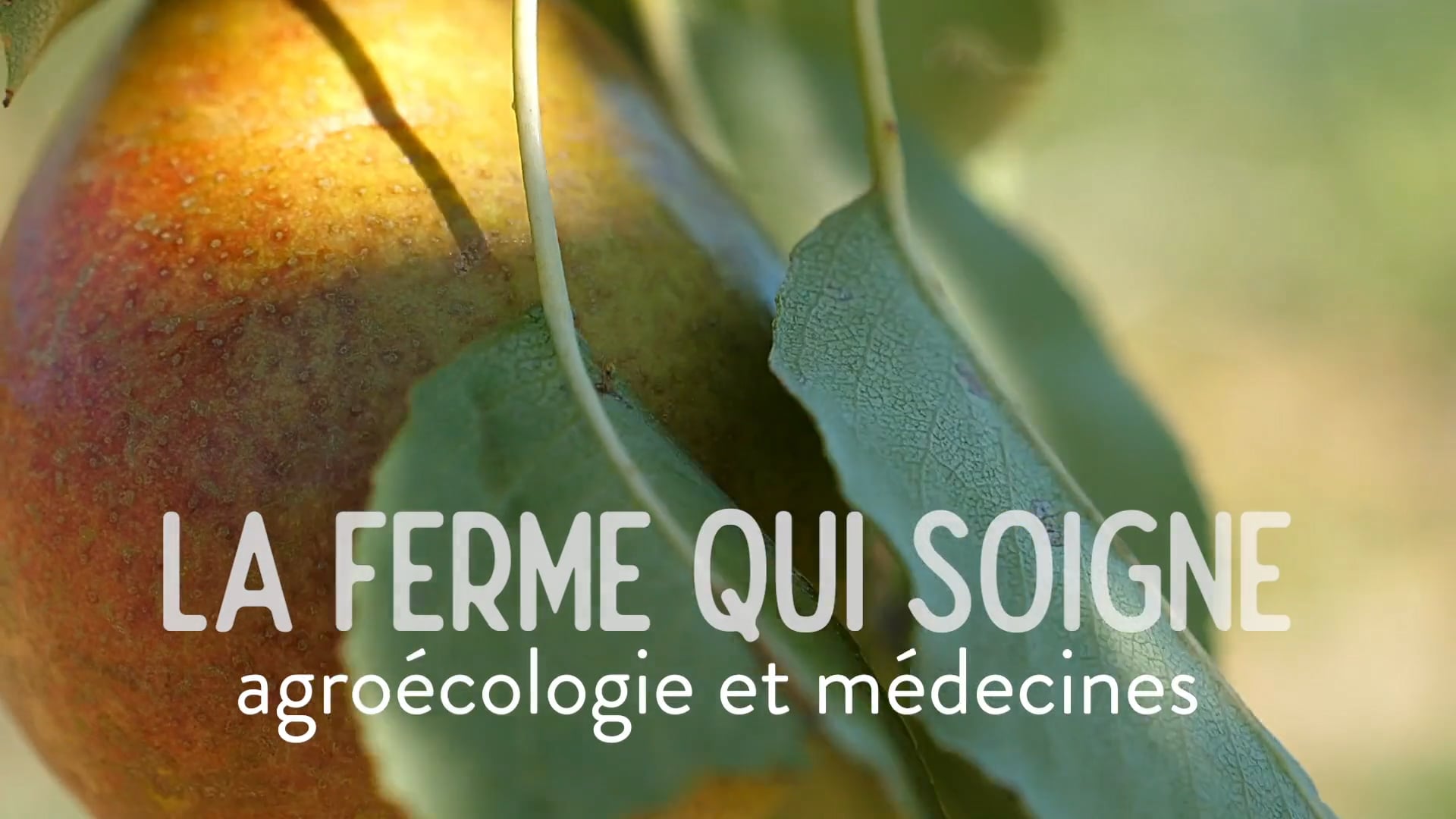 BA La Ferme qui soigne