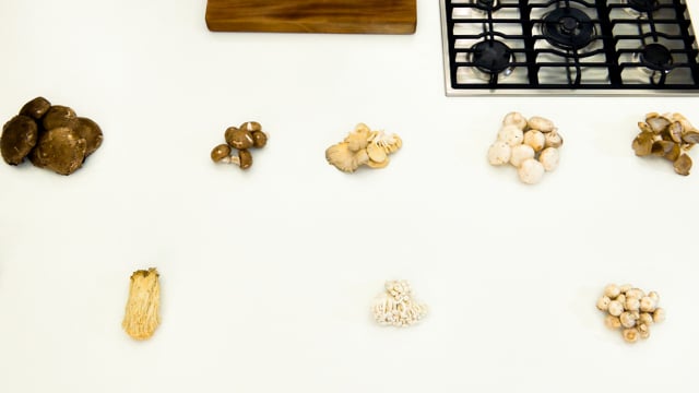 Setas y hongos: variedades y usos