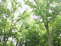 Schuell Fence | David's Testimonial