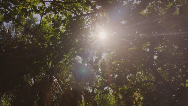 Jesus Film Project - Customer Success Story