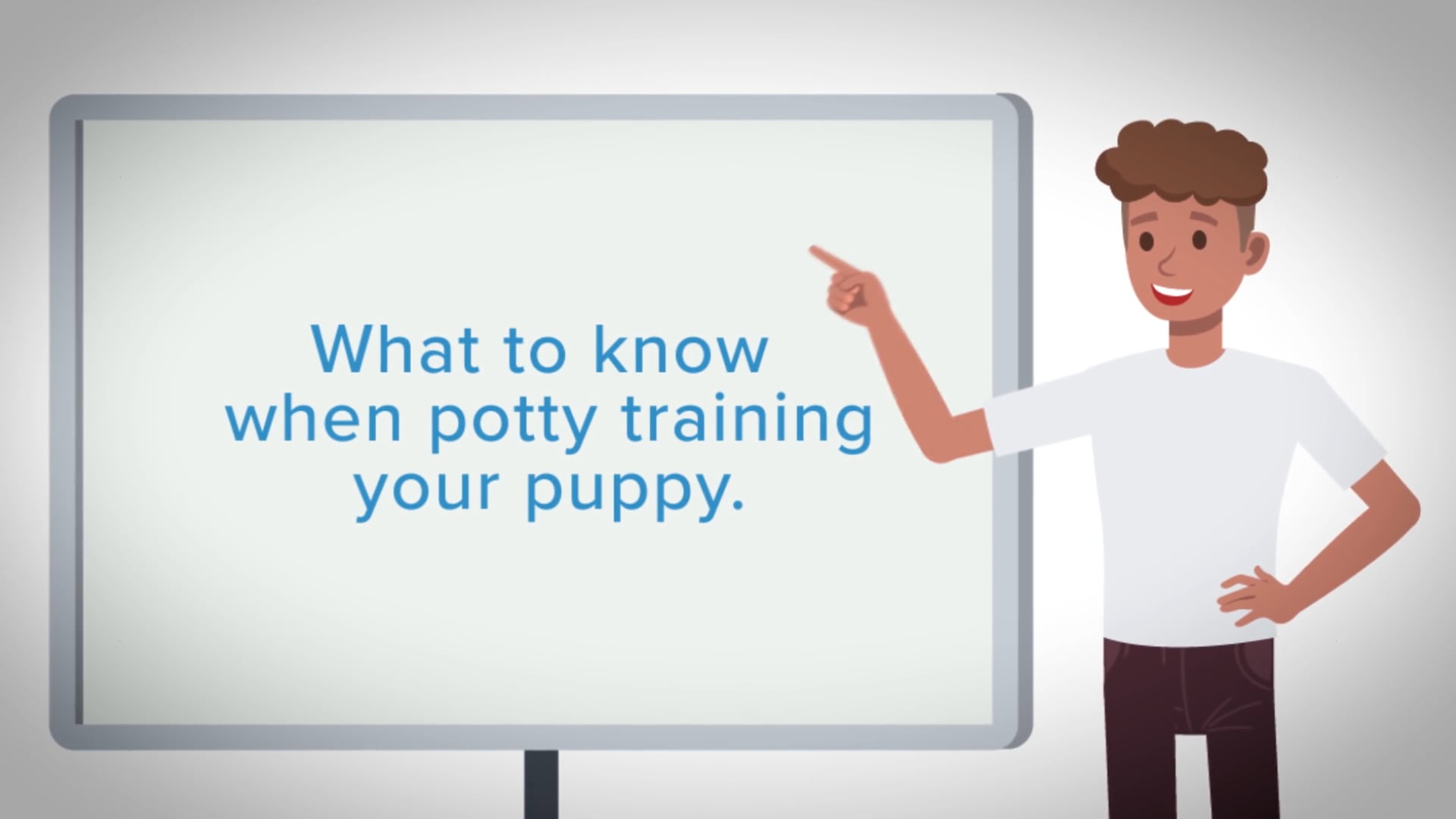 Animation Puppy Potty Training on Vimeo