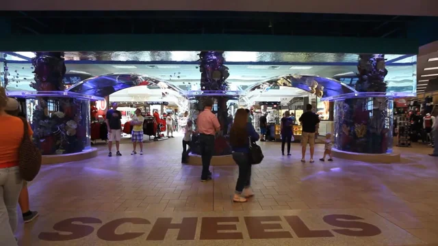 College Fan Shop at Johnstown SCHEELS