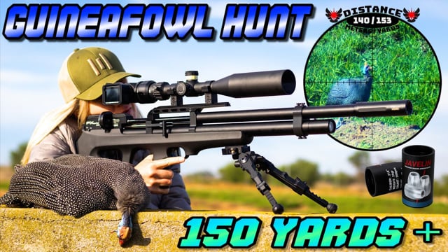 Guineafowl Hunt - Long Range - FX Wildcat MKIII Sniper .22 - Airgun ...