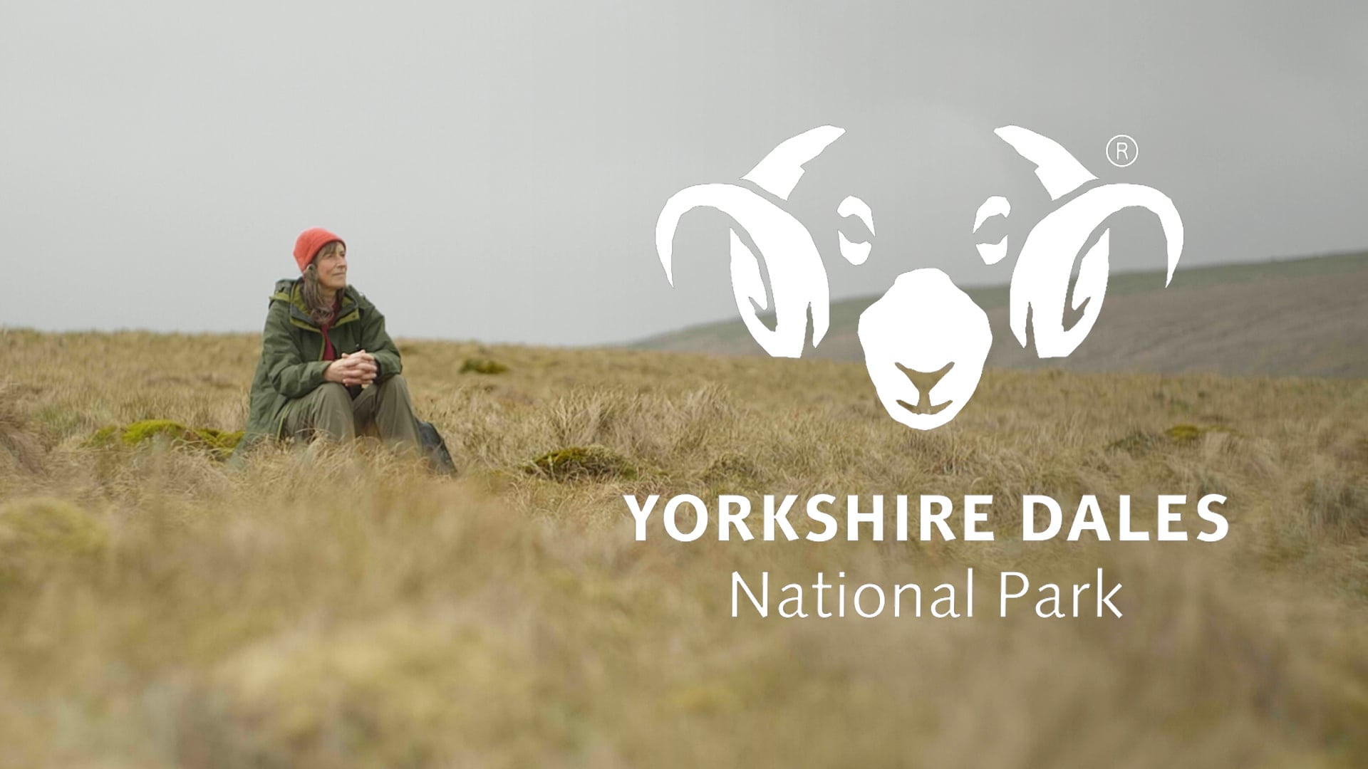 Mindfulness Walk - Yorkshire Dales National Park