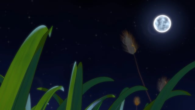 Красивая ночь. Трава луны. Ночное поле с луной. Трава луны. Природа луны.