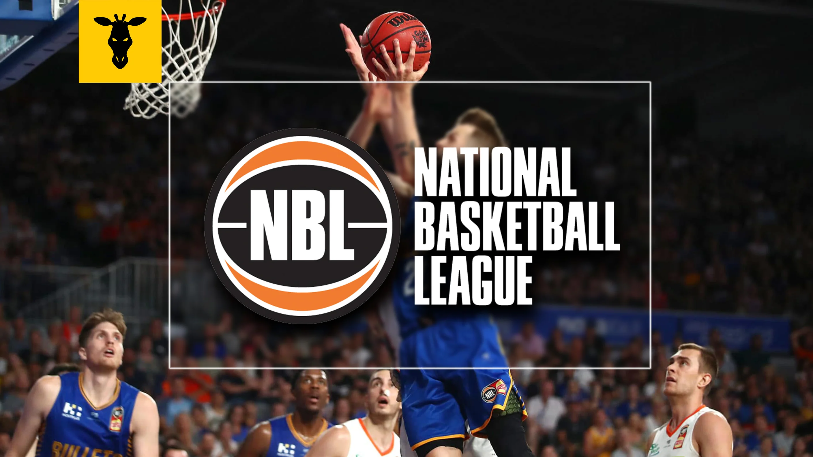 NBA (National Basketball Association)