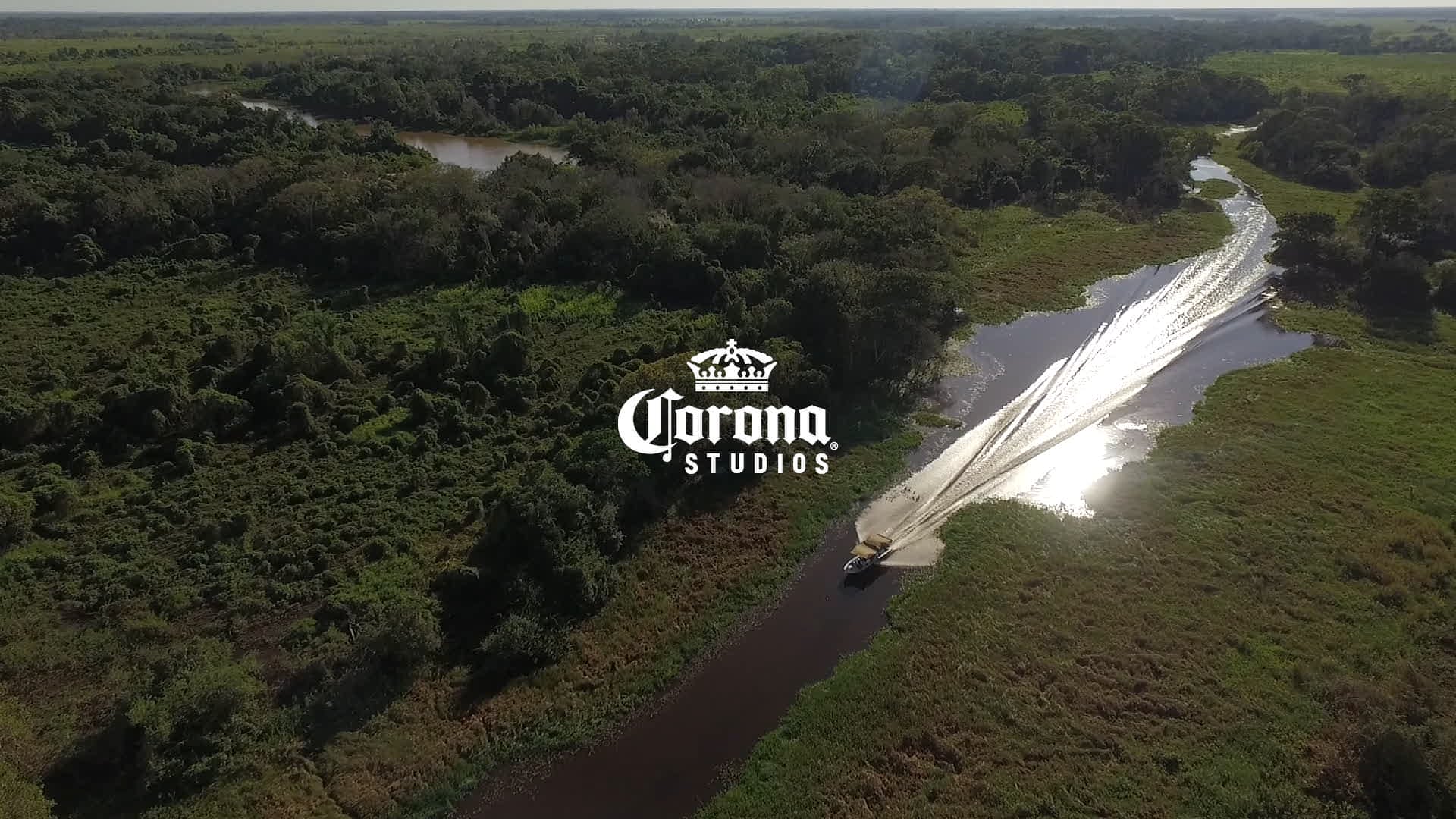 Pantanal - Projeto Corona