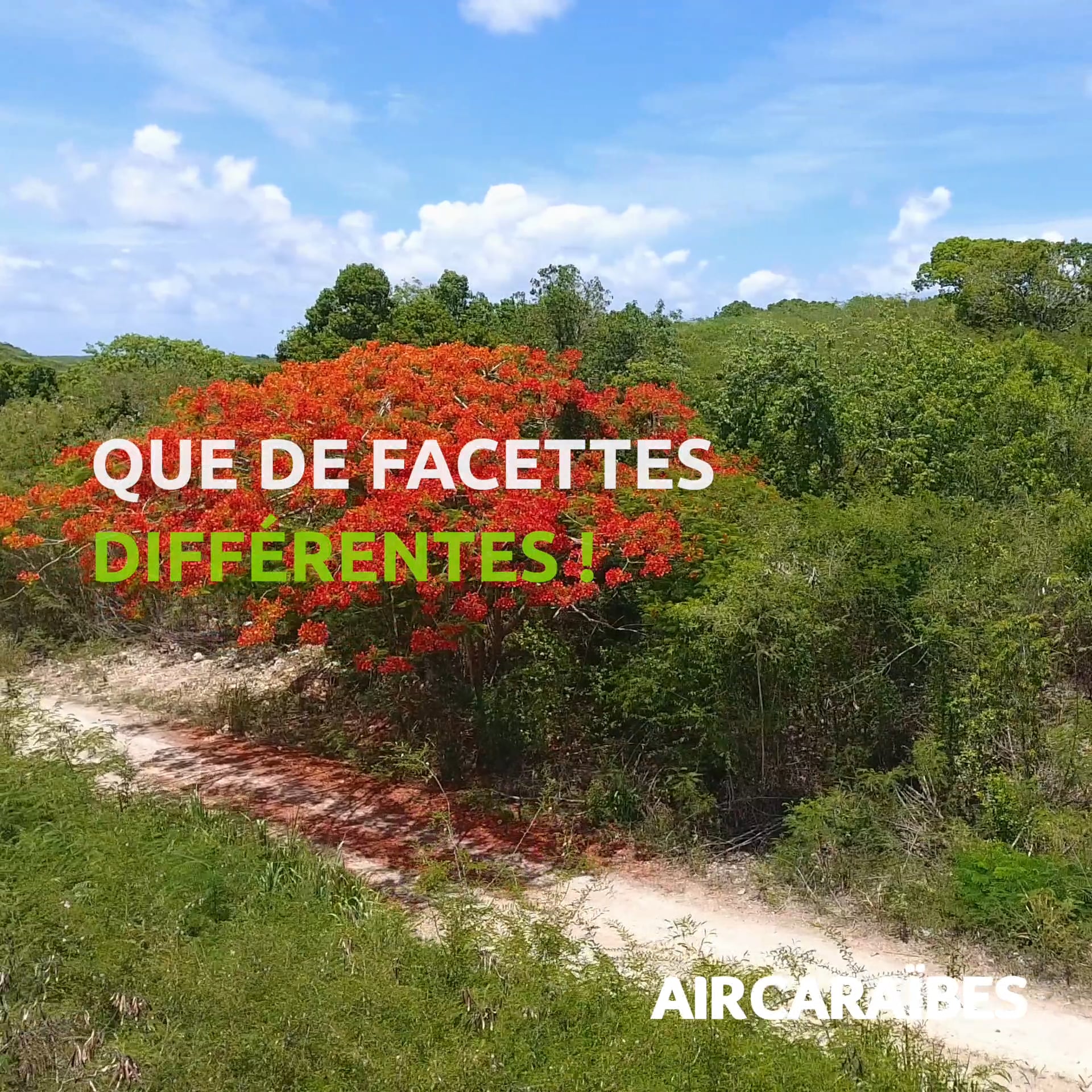 Les îles de Guadeloupe