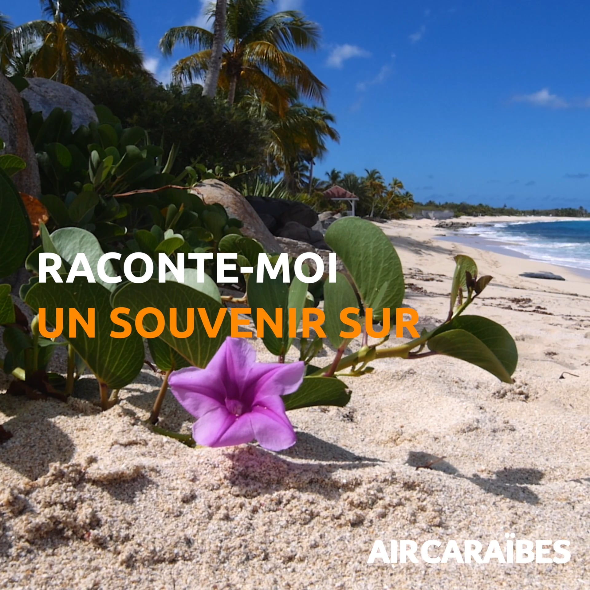 Les Plages de St Martin