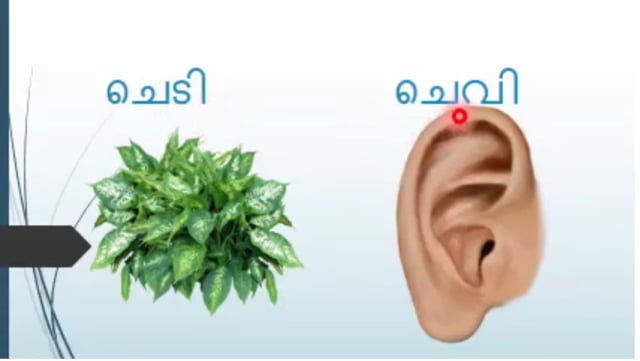 Malayalam Consonants