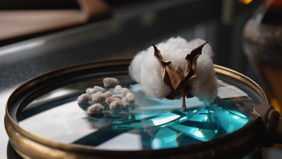 Fabrika Tanıtım Filmi Neden Markanızın En Güçlü Satış Aracıdır?