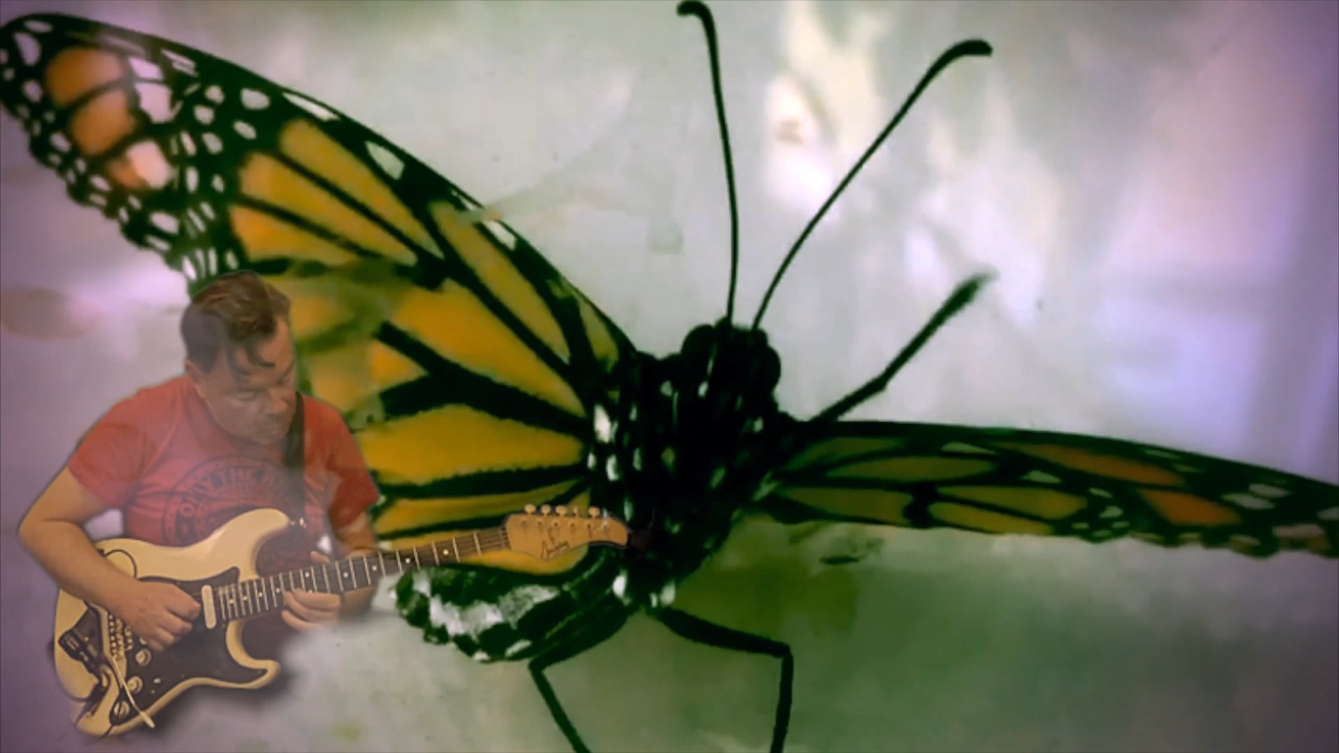 Promotional video thumbnail 1 for Simone Sello